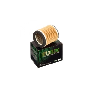 Oro filtras HIFLO HFA2910